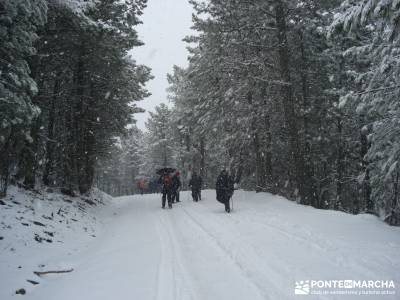 Valle de Iruelas - Pozo de nieve - Cerro de la Encinilla;senderismo león senderos cadiz